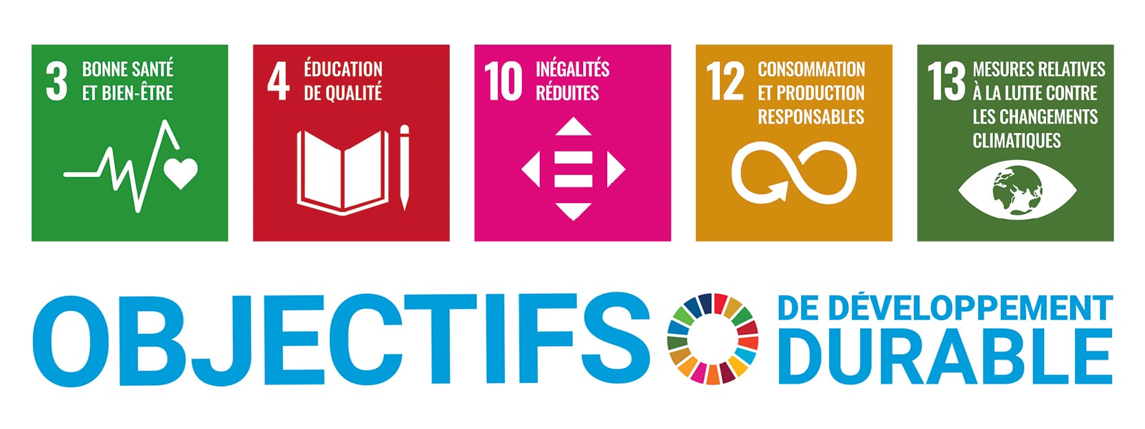 Objectifs de développement durable des Nations unies