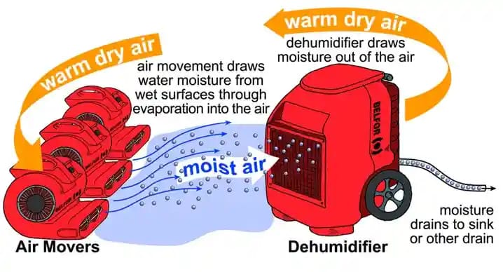 Drying and Dehumidification_InfoGraphic