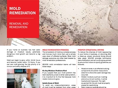 MOLD REMEDIATION