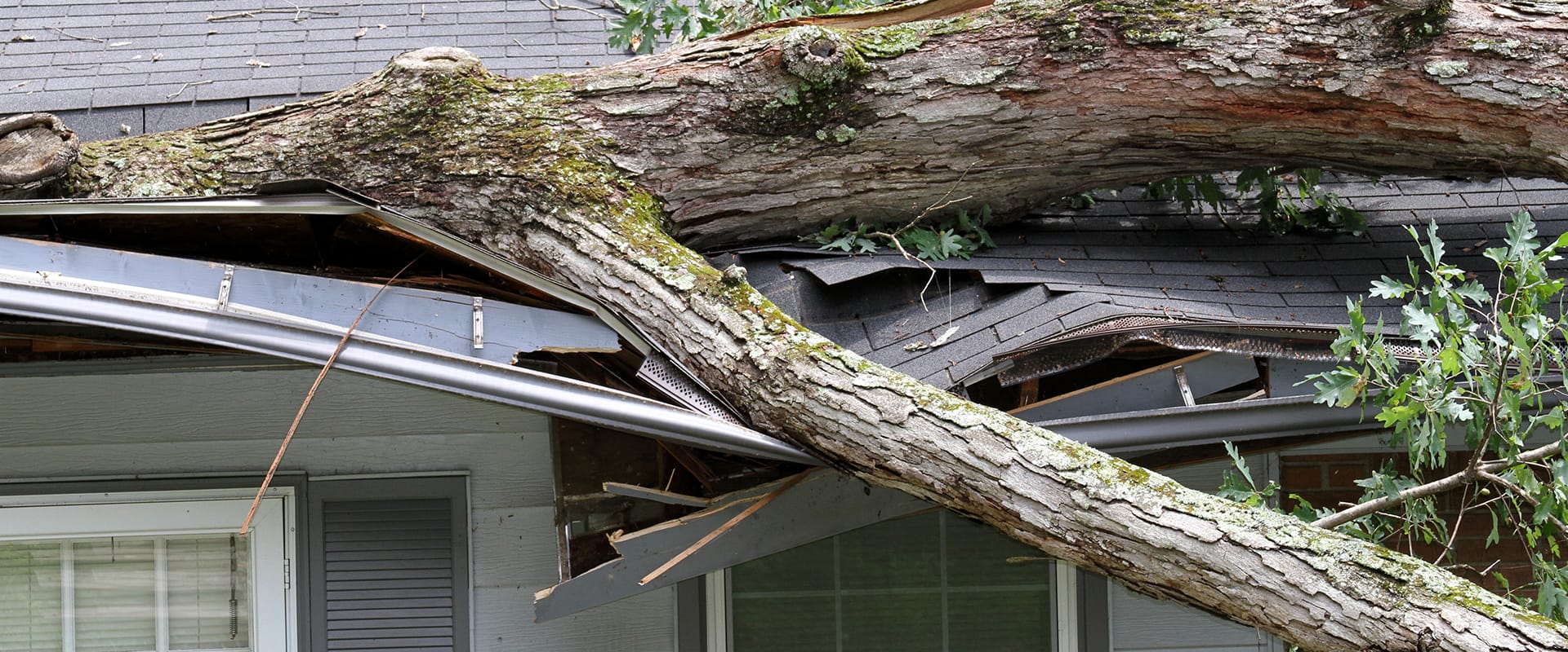 belfor-storm-damage-to-house-tree-fell-on-roof