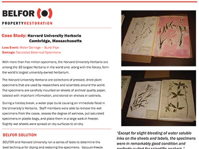 Harvard University Herbaria