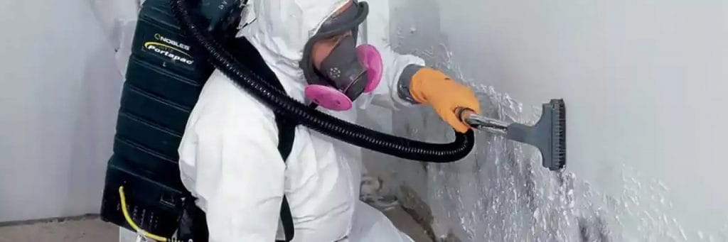 Belfor experts vacuuming mold from a commercial property