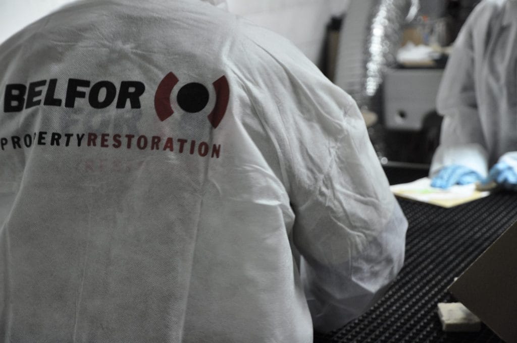 A mold damage team working in a kitchen