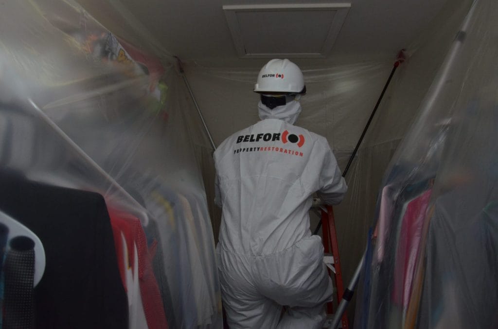 Experts cleaning mold in a residential building