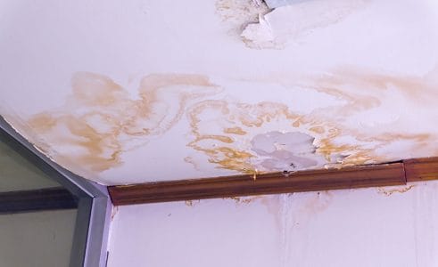 How To Handle Water Damage in Ceilings