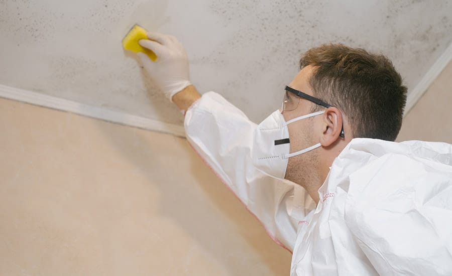 A person wearing a mask cleaning the wall​