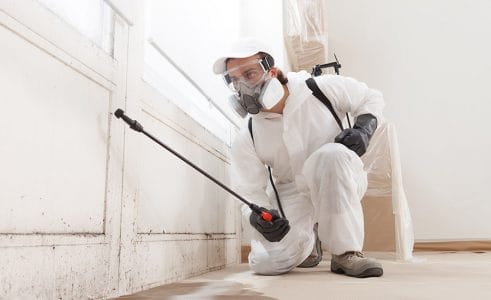 A worker in the process of mold remediation